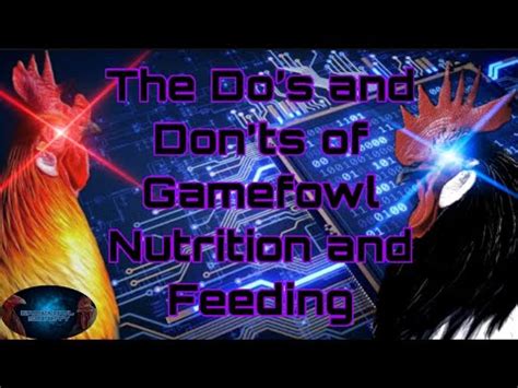 The Do's and Dont's of Gamefowl Nutriti.